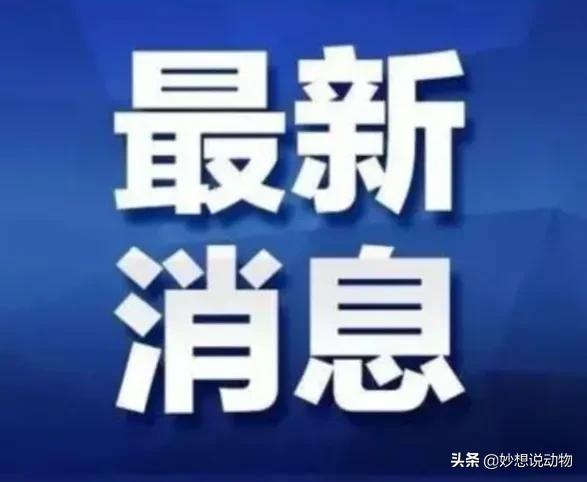 广西纪检监察网最新消息1(广西纪检监察网资讯速递第1期)