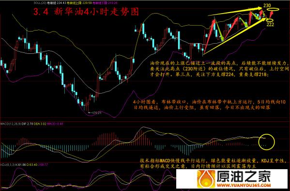 新华油市场动态：最新行情解析与趋势展望