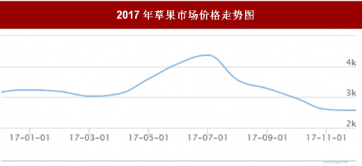 “草果市场最新报价动态”