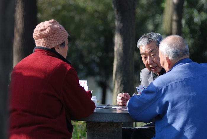 捕捉最新瞬间：老人公园温馨偷尝美食瞬间纪实